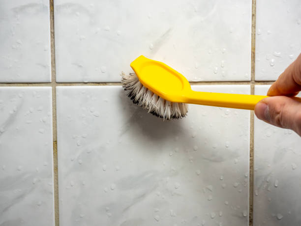 Best Mold Testing  in Shanor Northvue, PA